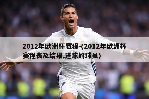 2012年欧洲杯赛程-(2012年欧洲杯赛程表及结果,进球的球员)