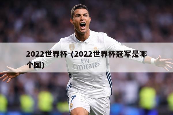 2022世界杯-(2022世界杯冠军是哪个国)
