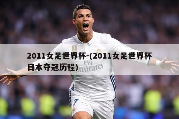 2011女足世界杯-(2011女足世界杯日本夺冠历程)