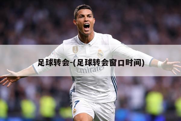 足球转会-(足球转会窗口时间)