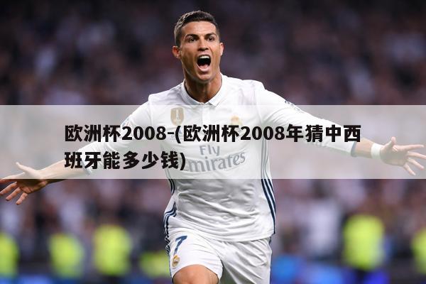 欧洲杯2008-(欧洲杯2008年猜中西班牙能多少钱)