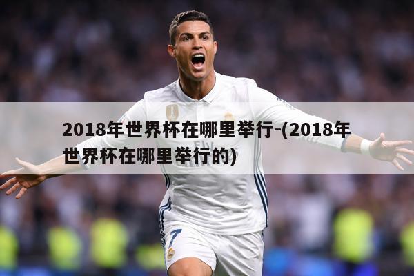 2018年世界杯在哪里举行-(2018年世界杯在哪里举行的)