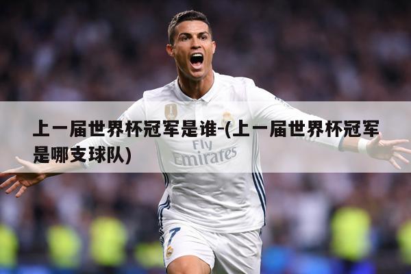 上一届世界杯冠军是谁-(上一届世界杯冠军是哪支球队)